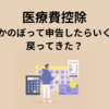 医療費控除　さかのぼって申告のタイトル